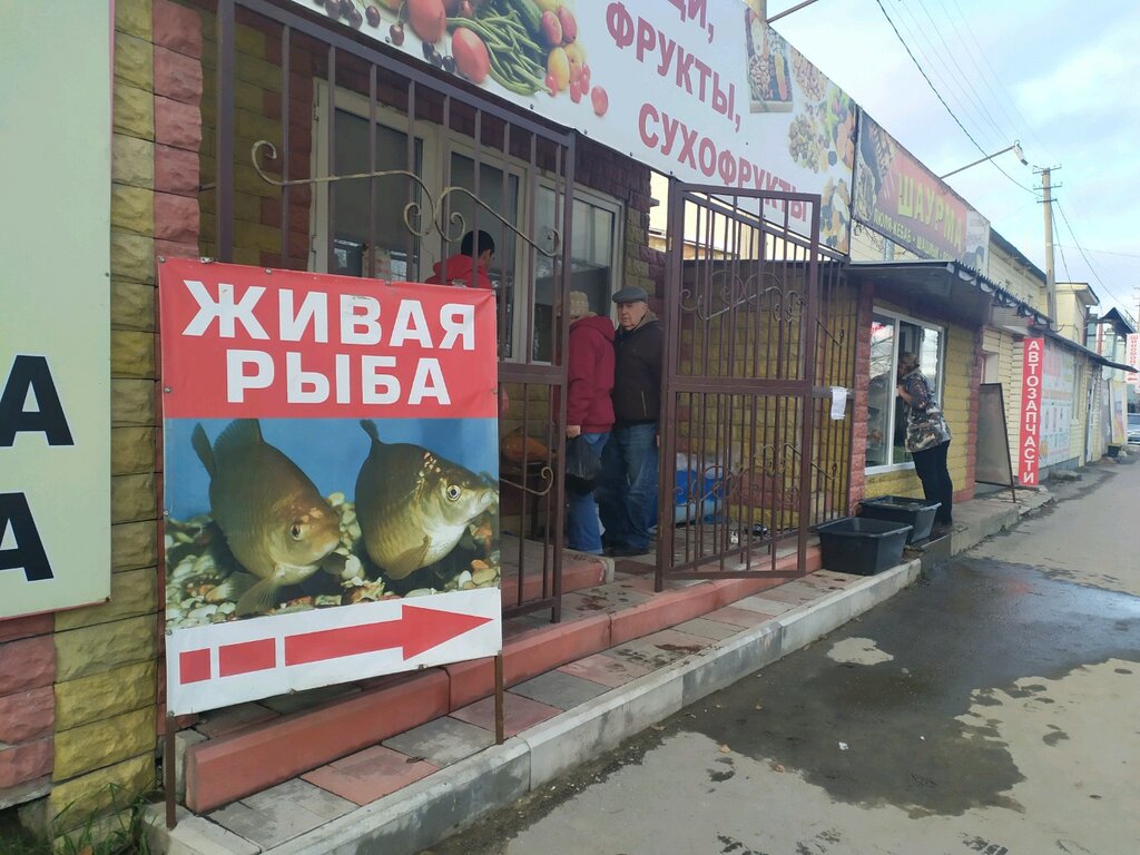 Живая рыба